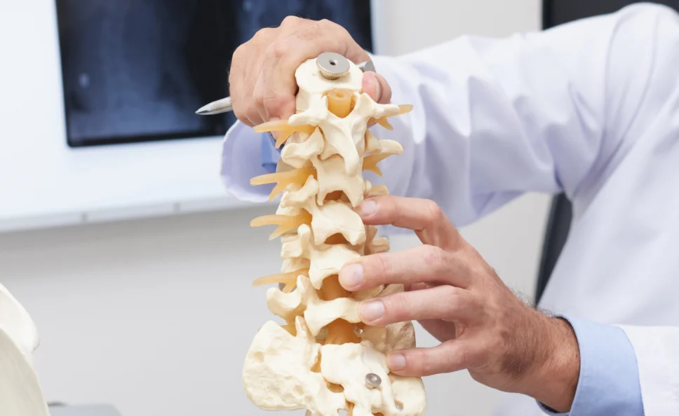 Melbourne Spine Studio| Is Your Back Pain More Than Just Muscle Strain? Understanding Common Spine Conditions